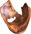Rustic Natural wood bowl